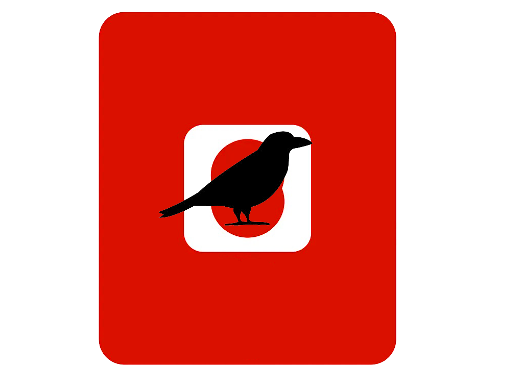 BlackBirdStory